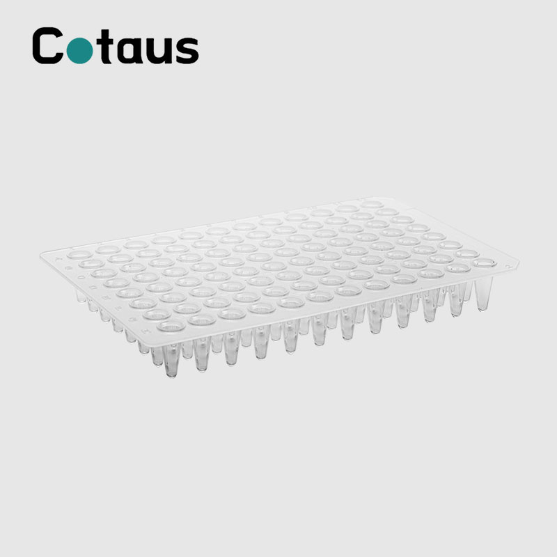 96 राम्रो 0.1ml पारदर्शी नो स्कर्ट PCR प्लेट